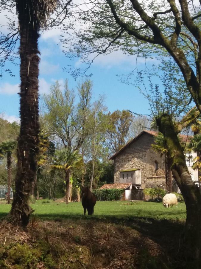 La Chapelle Du Chateau Gite Pouillon Екстериор снимка